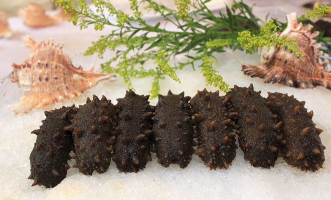 ���ɺͼ�ʳ����